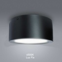Aplique Techo Led 110V 6500K 20W