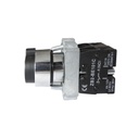 Switch Muletilla Con Llave