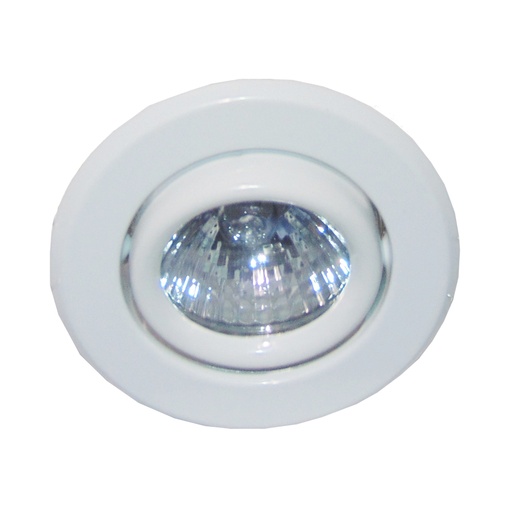 Ojo Buey MR16 K-19