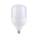 Foco Led Toledo 110V E27 6500K