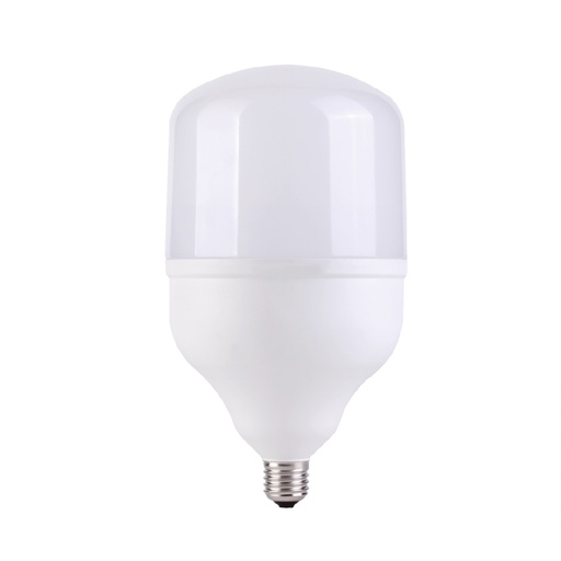 Foco Led Toledo 110V E27 6500K