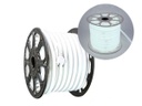 Manguera Led Neón 50Mts 110V